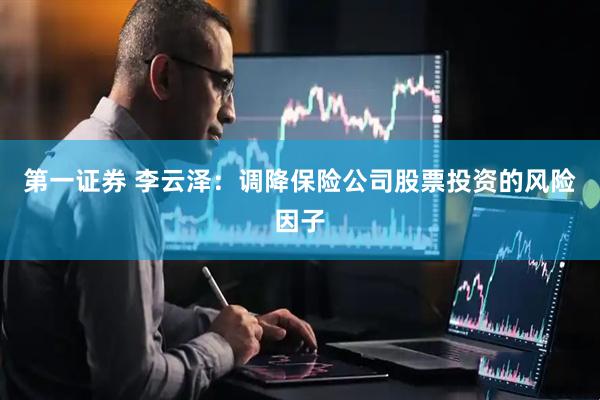 第一证券 李云泽：调降保险公司股票投资的风险因子