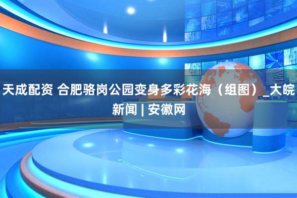 天成配资 合肥骆岗公园变身多彩花海（组图）_大皖新闻 | 安徽网