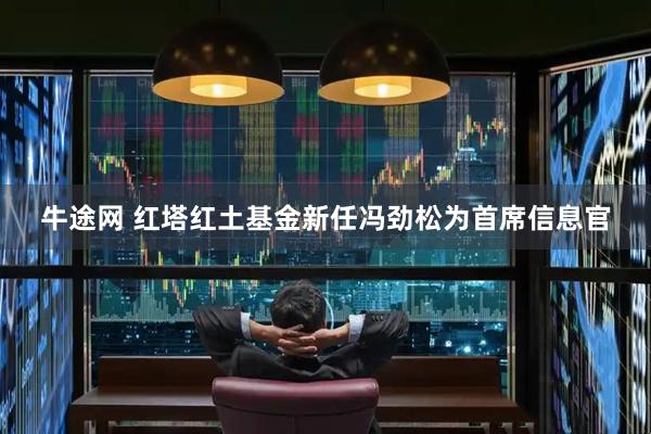 牛途网 红塔红土基金新任冯劲松为首席信息官