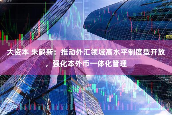 大资本 朱鹤新：推动外汇领域高水平制度型开放，强化本外币一体化管理