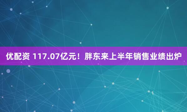 优配资 117.07亿元！胖东来上半年销售业绩出炉
