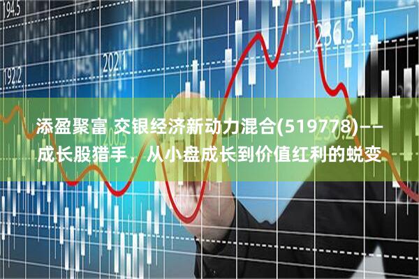 添盈聚富 交银经济新动力混合(519778)——成长股猎手，从小盘成长到价值红利的蜕变