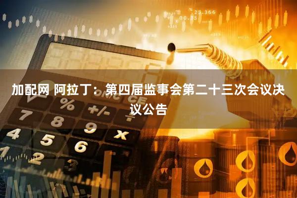加配网 阿拉丁：第四届监事会第二十三次会议决议公告