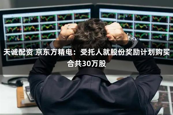 天诚配资 京东方精电:受托人就股份奖励计划购买合共30万股