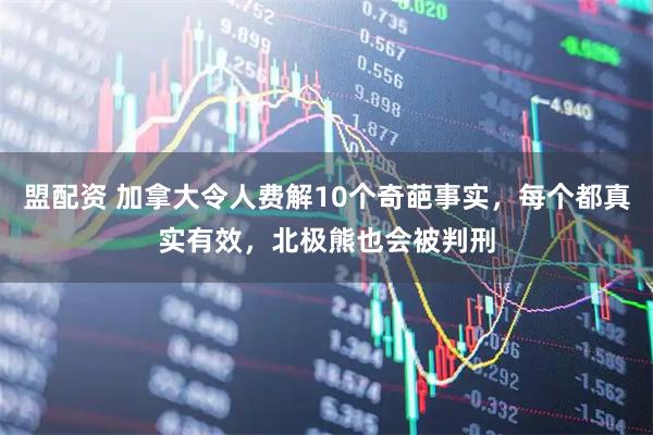 盟配资 加拿大令人费解10个奇葩事实,每个都真实有效,北极熊也会被判刑