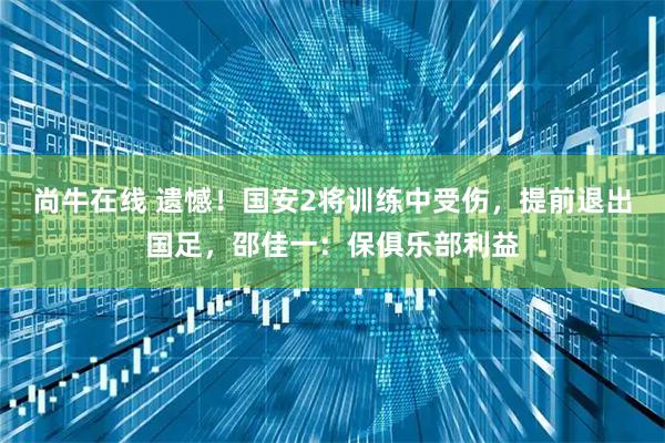 尚牛在线 遗憾！国安2将训练中受伤，提前退出国足，邵佳一：保俱乐部利益